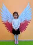img20260430wa0012_small.jpg