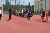 img_5412_small.jpg