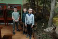 img_5486_small.jpg